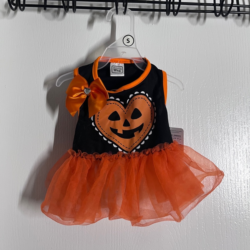 Black and Orange Dog Costume with Pumpkin Design